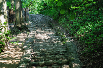 Stone stairs in the park among trees