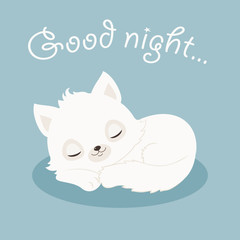 Good night white kitten/cat illustration