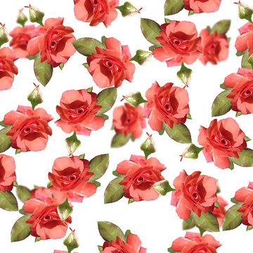 Delicate floral pattern of isolated coral roses  