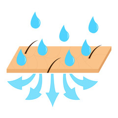 Skin hydration sectional view.