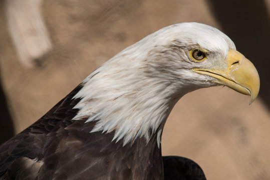 Hogle Zoo, Salt Lake City, Utah