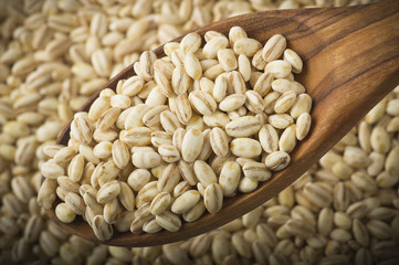 Spoon of Pearl barley close up on a table