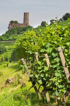 Strahlenburg in Schriesheim an der Bergstra&szlig;e