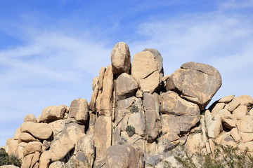 Joshua tree national park