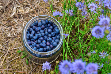 Glass jar full of blueberries