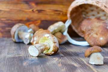 Placer white mushrooms in a wicker basket.