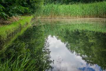 beautiful water pound reflecting the landscape 3