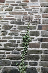 Alte Sandstein Mauer