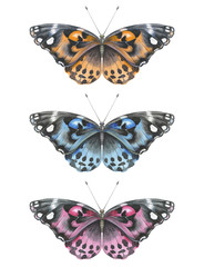 Obraz na płótnie Canvas Watercolor butterfly set