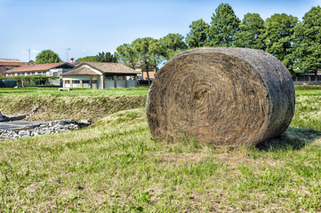 Hay bale on the field after harvest
