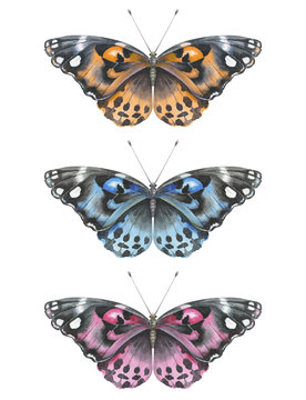Watercolor butterfly set