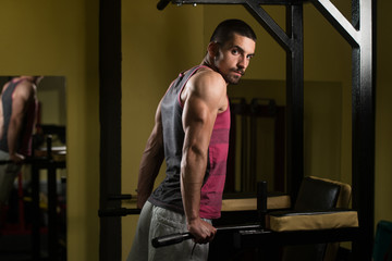 Fototapeta na wymiar Chest And Triceps Exercise on Parallel Bars