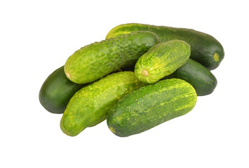 Green cucumber gherkin