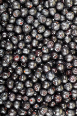 A pile of chokeberry fruits. Fruit background