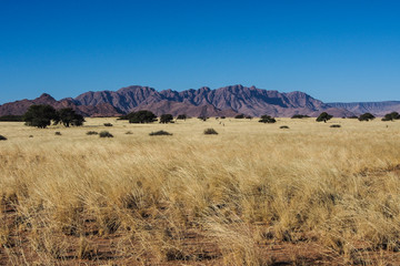 Namibia - Sossusvlei