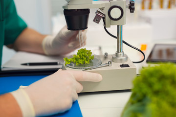 Testing of genetically modified food in the laboratory, selectiv