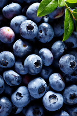 Fresh blueberries from organic cultivation, close up