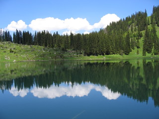 Clouds and trees reflected in the still waters of Hinterburgseeli lake, near Axalp, Switzerland on a sunny summer's day