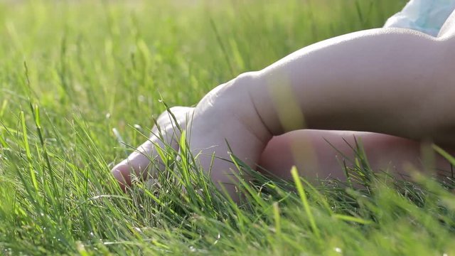 small baby's cute feet on the grass