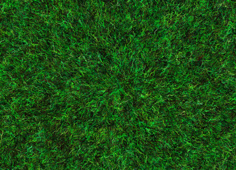 meadow lush green grass texture