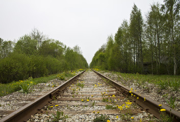 Fototapeta premium Railroad to nowhere in an old village in Tallinn Estonia