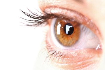 woman eye with long eyelashes. Space for text.