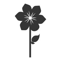 Flower with leaf in black and white colors, vector illustration graphic.