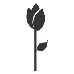 Flower with leaf in black and white colors, vector illustration graphic.