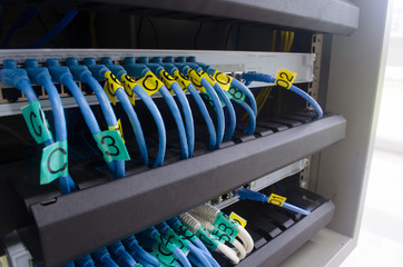 Man hand connect LAN cable to Switch internet, Selective Focus