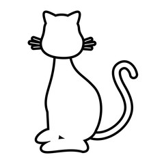 Cat cute pet graphic design, vector illustration isolated icon.