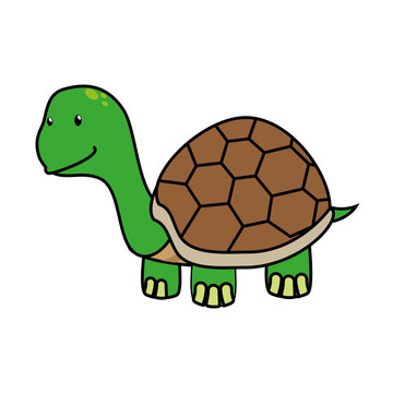 Tortoise cute pet graphic design, vector illustration isolated icon.