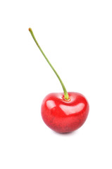 one cherries on a white background