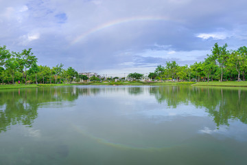 Fototapeta na wymiar Flower garden with marsh and beautiful rainbow in rainy season i