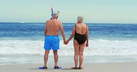 Senior couple at the beach