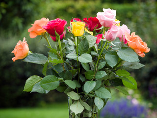 A vase of colourful Roses out in the garden