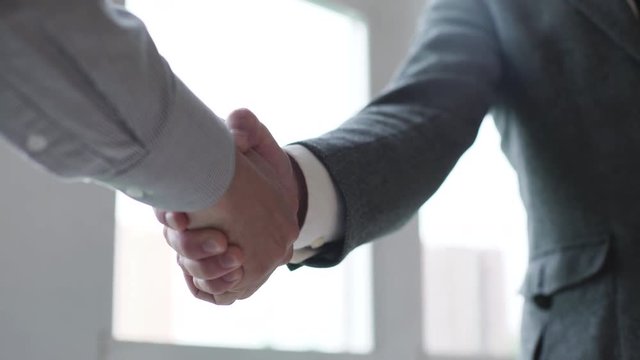 Business partners handshaking