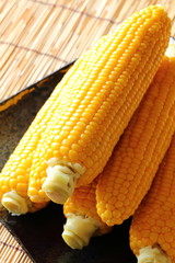 とうもろこし