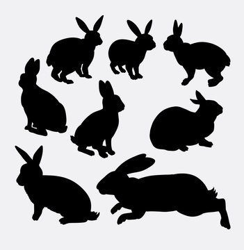 Rabbit funny and cute animal silhouette. Good use for symbol, logo, web icon, mascot, game element, sticker design, sign, or any design you want. 