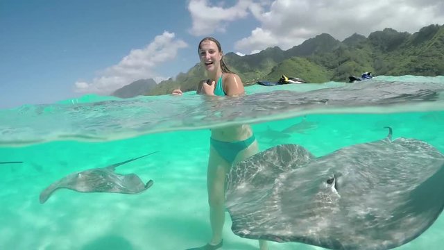 Young woman on vacation having stingray encounter with friendly rays