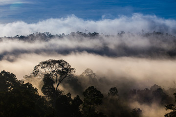 Fototapeta premium Hala-bala narathiwas the morning light landscape view (Rainfores