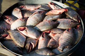 fresh seafood on the market in Thailand