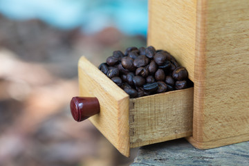Coffee grinder and coffee beans