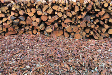 mangrove wood to be processed as charcoal