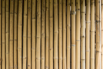bamboo fence background