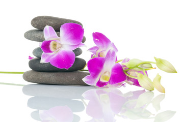 Orchid and spa-stones on white background