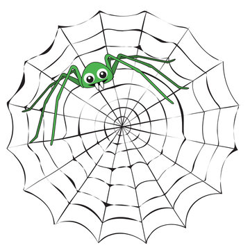 Simple cartoon spider web and green spider on a white background.