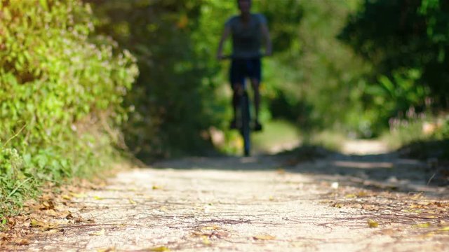 A man riding a bike on a forest path. Video UltraHD