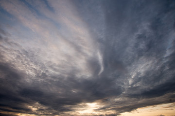 Abstract nature background. Dramatic and moody pink, purple and