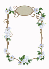 Fototapeta premium Watercolor Flower Frame