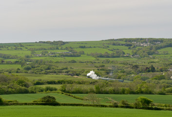 Fototapeta na wymiar Steam train in Dorset countryside near Swanage